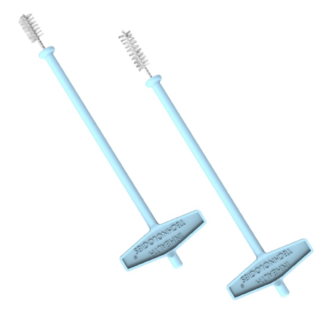 BSVP Brush 2025